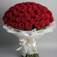 Букет 101 Красная роза Блэк Мэджик в Шаркан