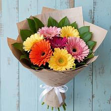 Букет цветов из:  Герберы в Шаркан