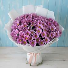 Букет цветов из:  Хризантемы в Шаркан
