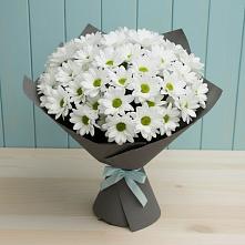 Букет цветов из:  Хризантемы #REPLACE_PRED# Шаркан