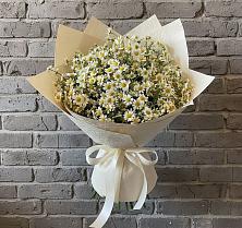 Букет цветов из:  Ромашки в Шаркан