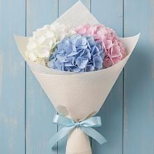Букет цветов из:  Гортензия в Шаркан