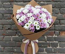 Букет цветов из:  Хризантемы в Шаркан