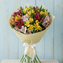 Букет цветов из:  Альстромерии в Шаркан