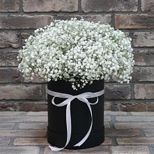 Цветочная композиция из Гипсофила в шляпной коробке в Шаркан
