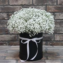 Цветочная композиция из Гипсофила в шляпной коробке в Шаркан