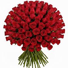 Букет Красные розы Чери Лав в Шаркан