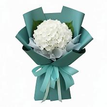 Букет цветов из:  Гортензия в Шаркан